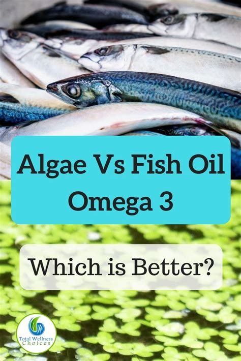 algae vs fish oil review.